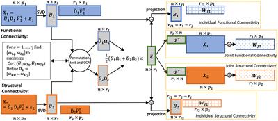 Interpretive JIVE: Connections with CCA and an application to brain connectivity